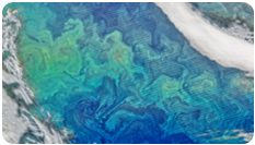 Ocean Color