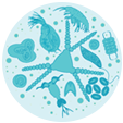 Ocean Ecology