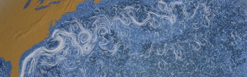 Density and Ocean Circulation