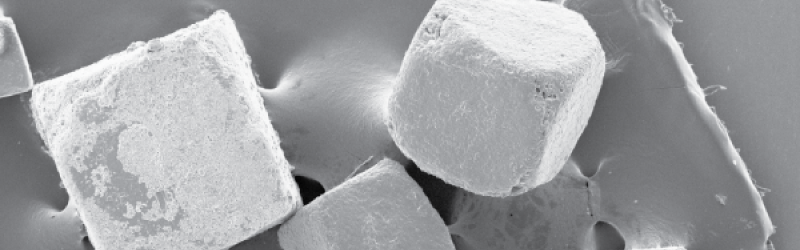 The Role of Salinity