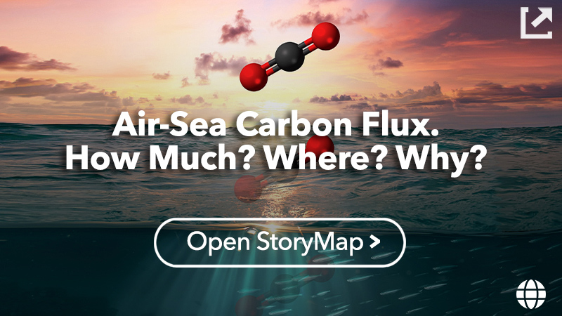 Air-Sea Carbon Flux. How Much? Where? Why?