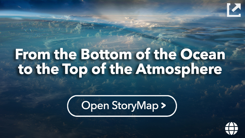 From the Bottom of the Ocean...