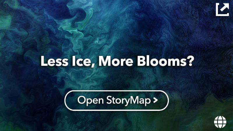 Less Ice, More Blooms?