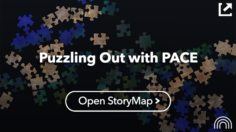 Puzzling Out with PACE