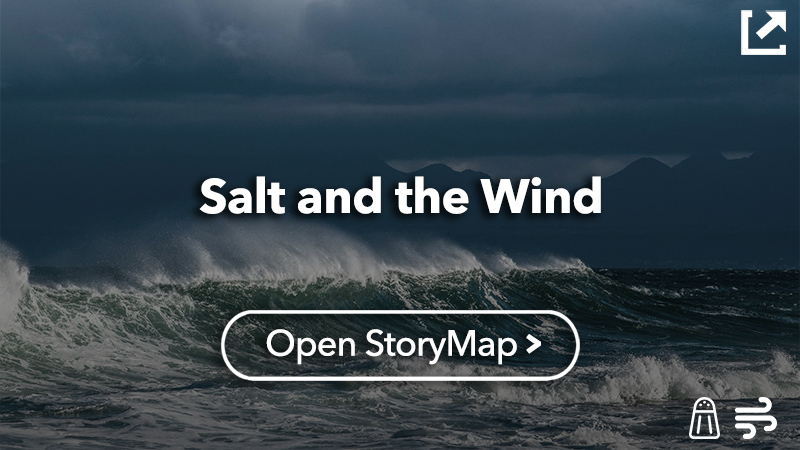 Salt & the Wind