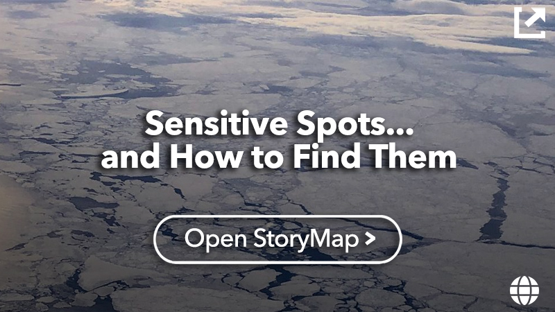 Sensitive Spots...and How to Find Them