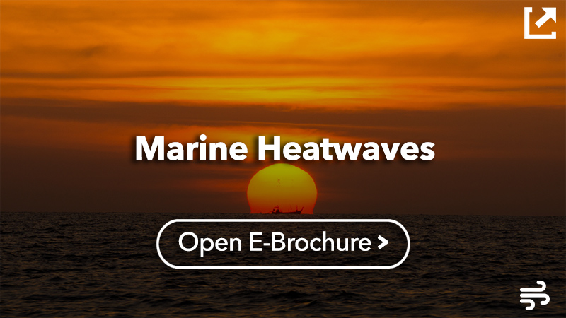 Marine Heatwaves