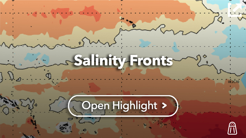Salinity Fronts 