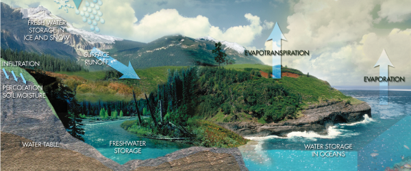 Following the Water Cycle